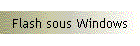 Flash sous Windows