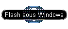 Flash sous Windows